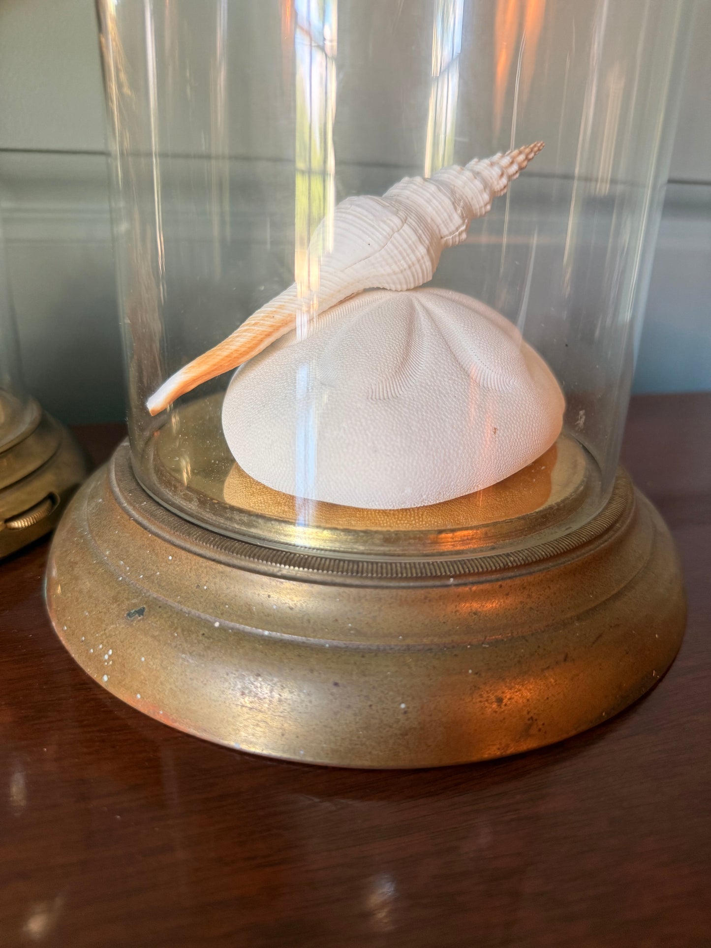 Vintage Brass and Glass Cloches