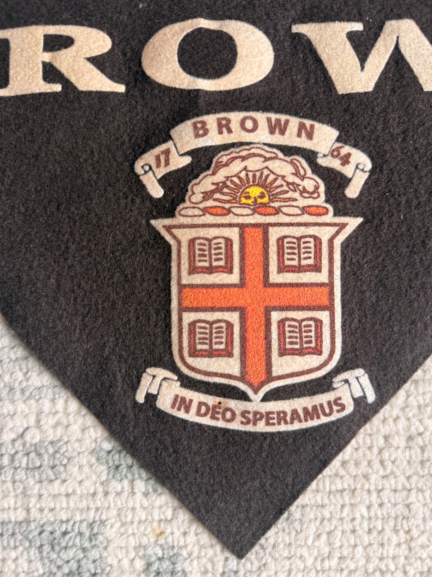 Vintage Brown University Felt Pennant