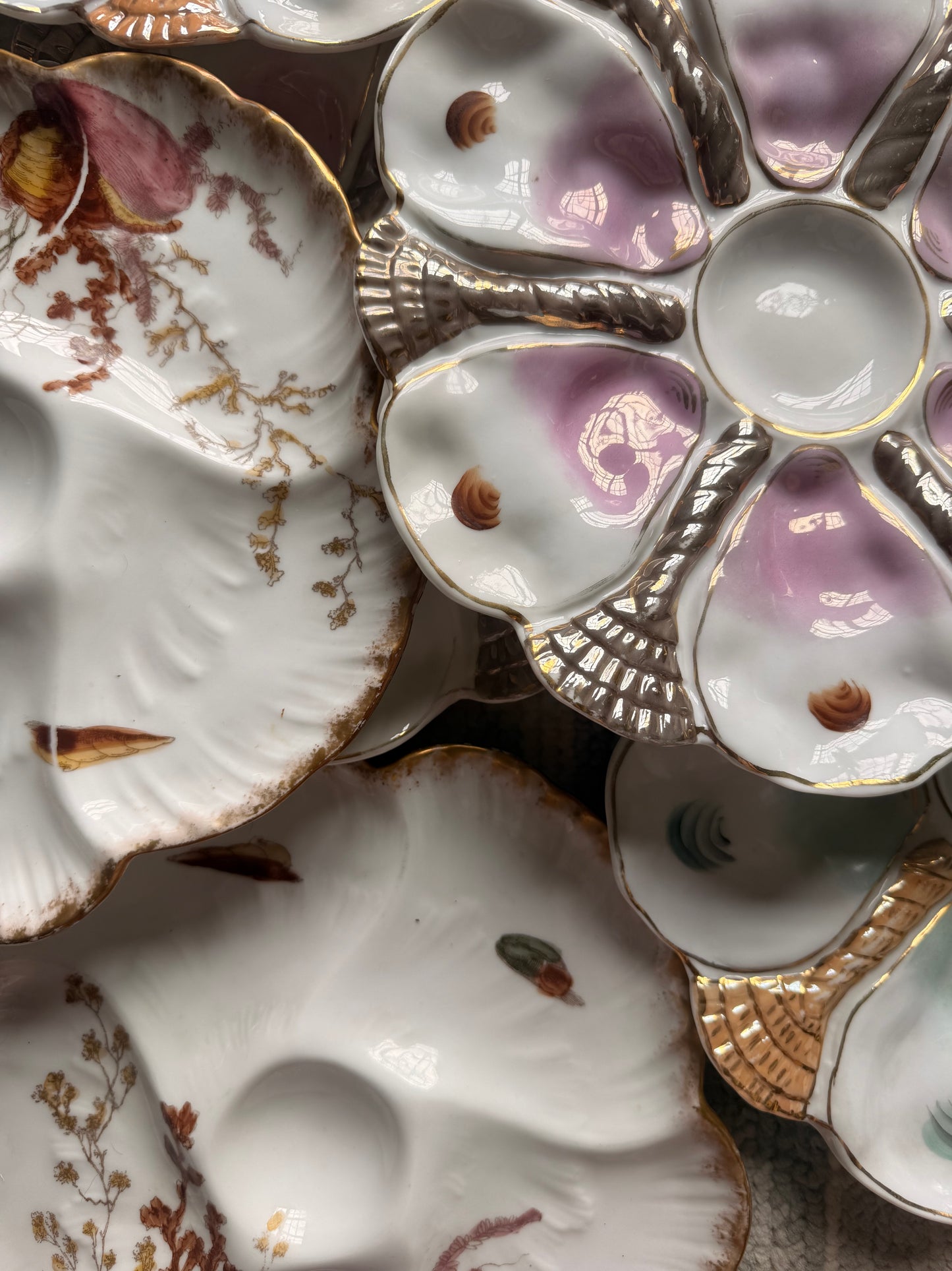Antique French Porcelain Oyster Plate Pink