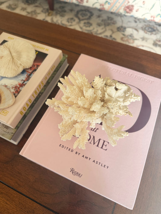 Natural Staghorn Coral Specimen