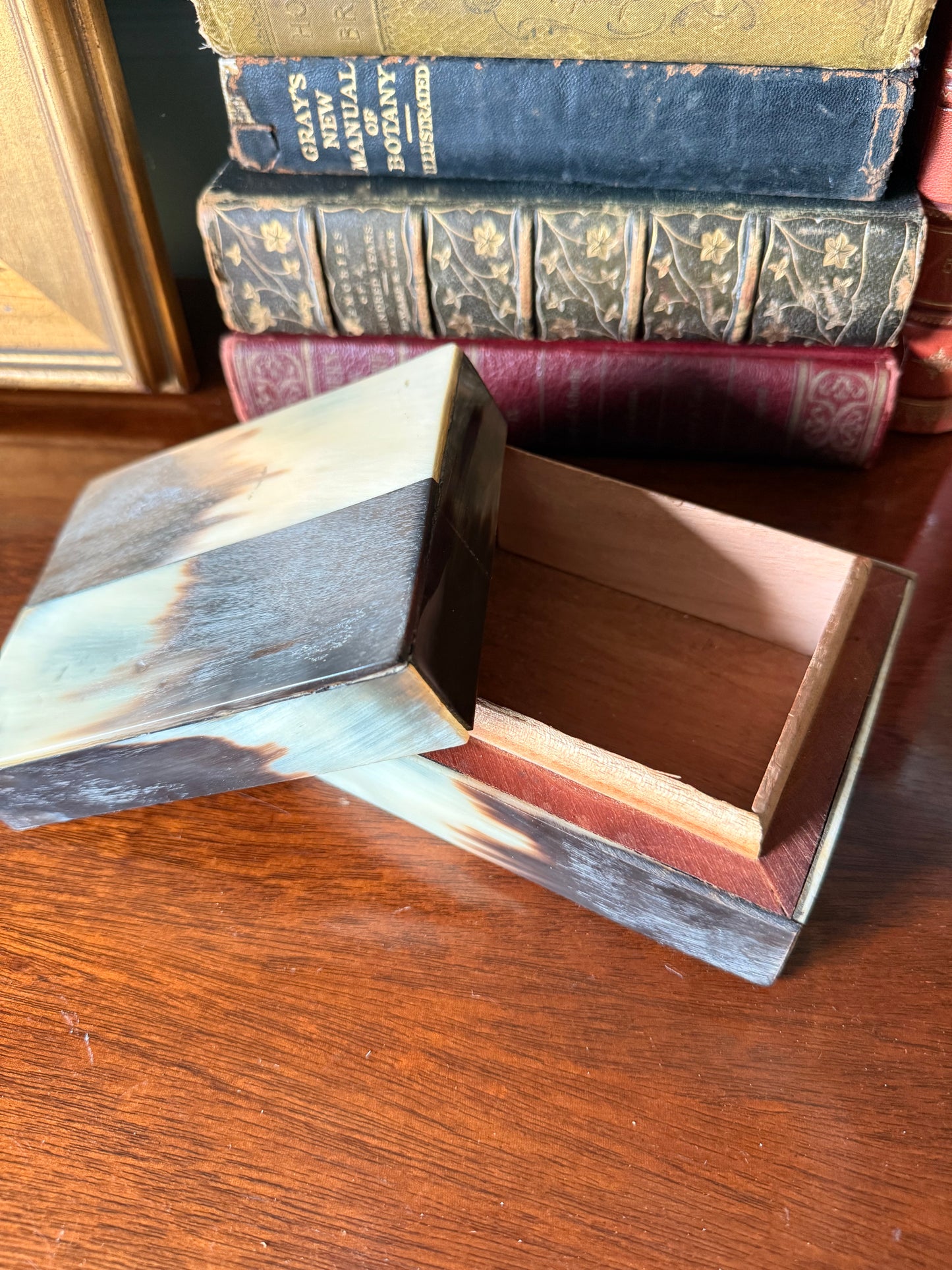 Natural Horn and Wood Box
