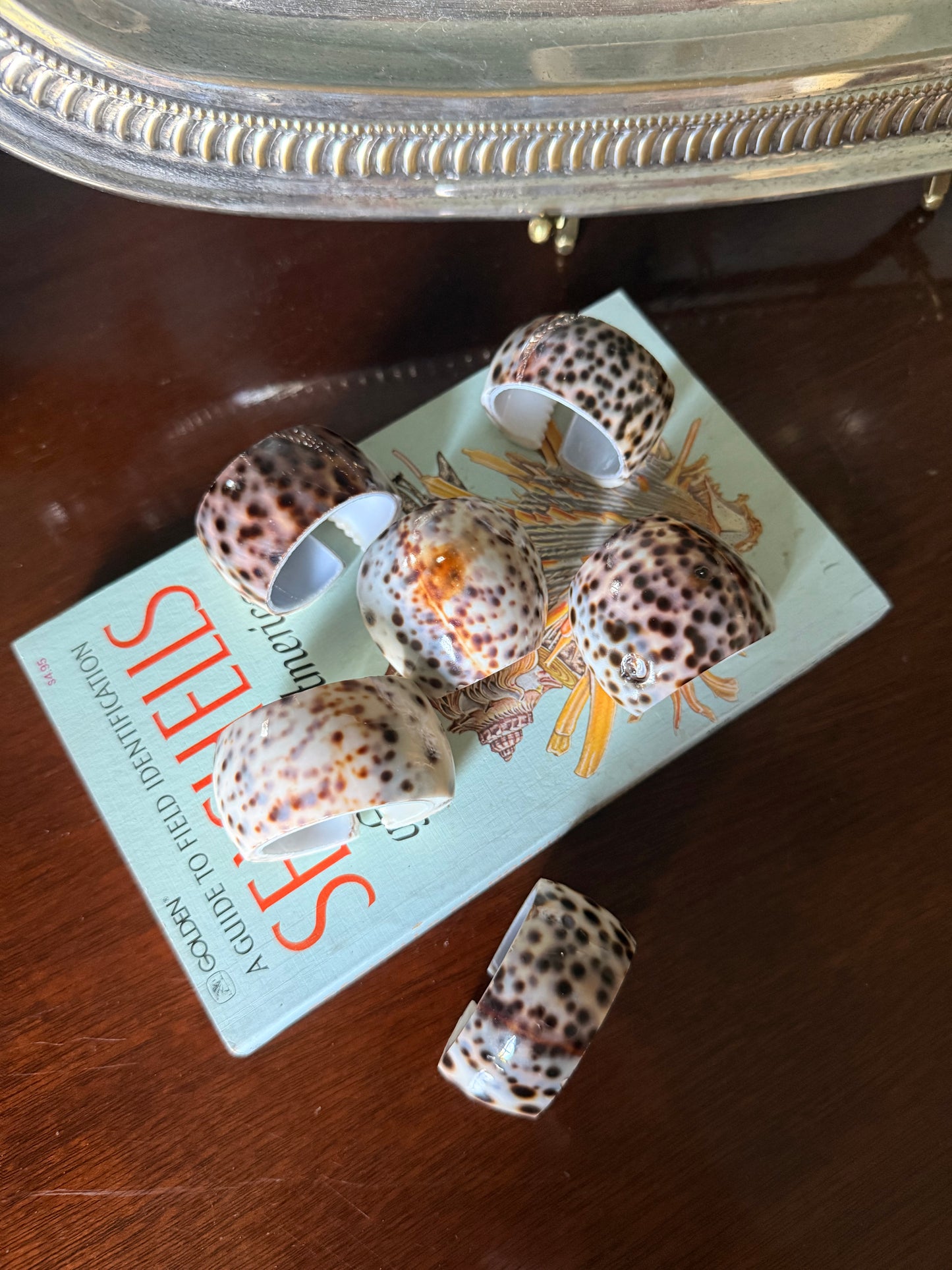 Set of Six Natural Cowrie Shell Napkin Rings
