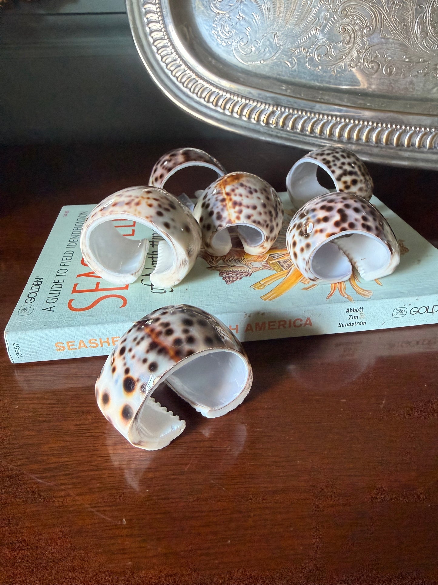Set of Six Natural Cowrie Shell Napkin Rings