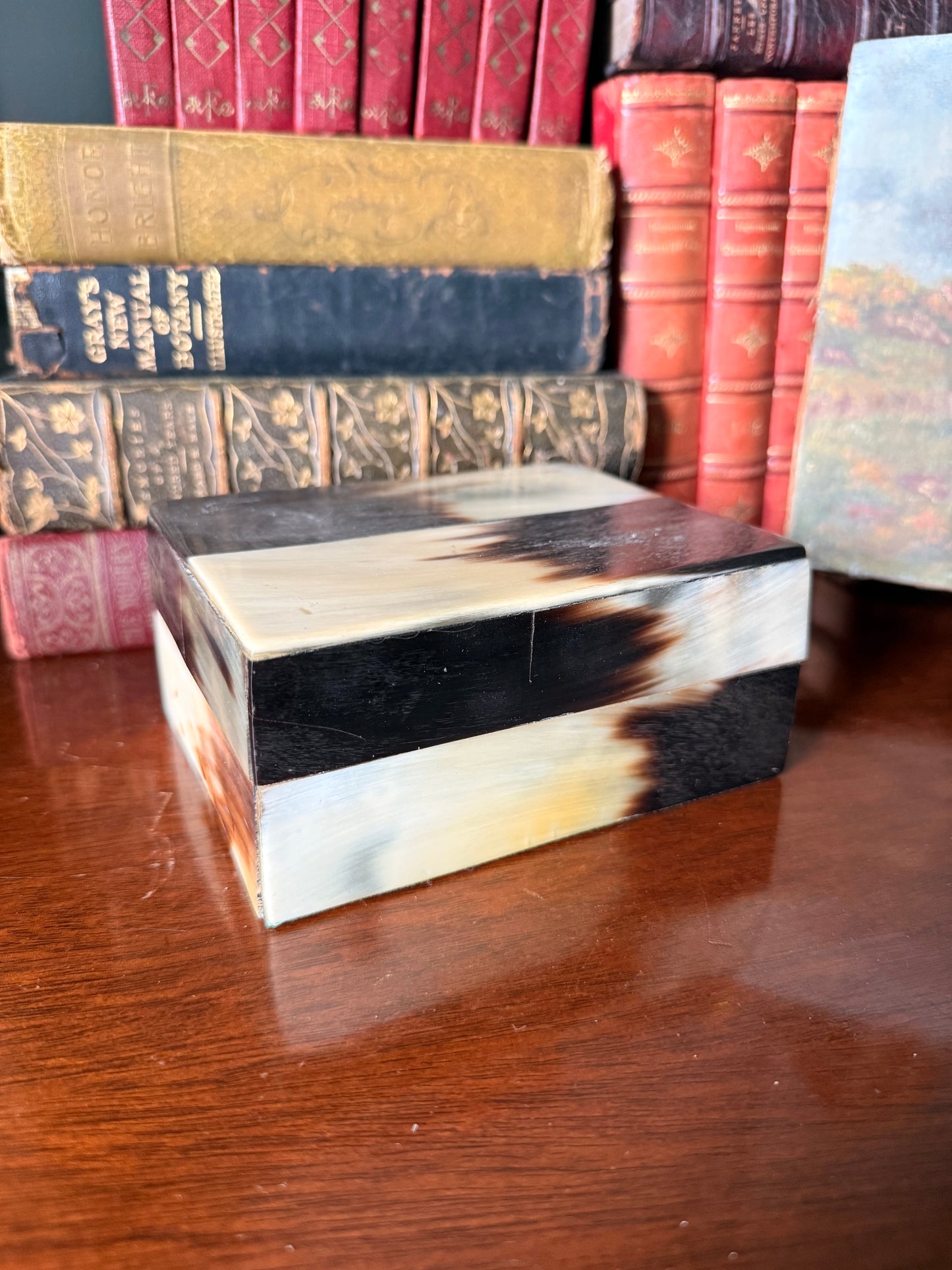 Natural Horn and Wood Box