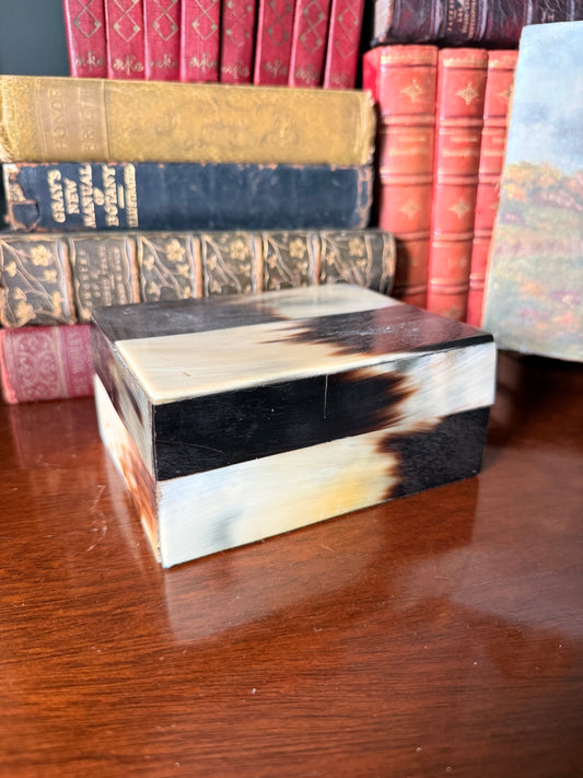 Natural Horn and Wood Box