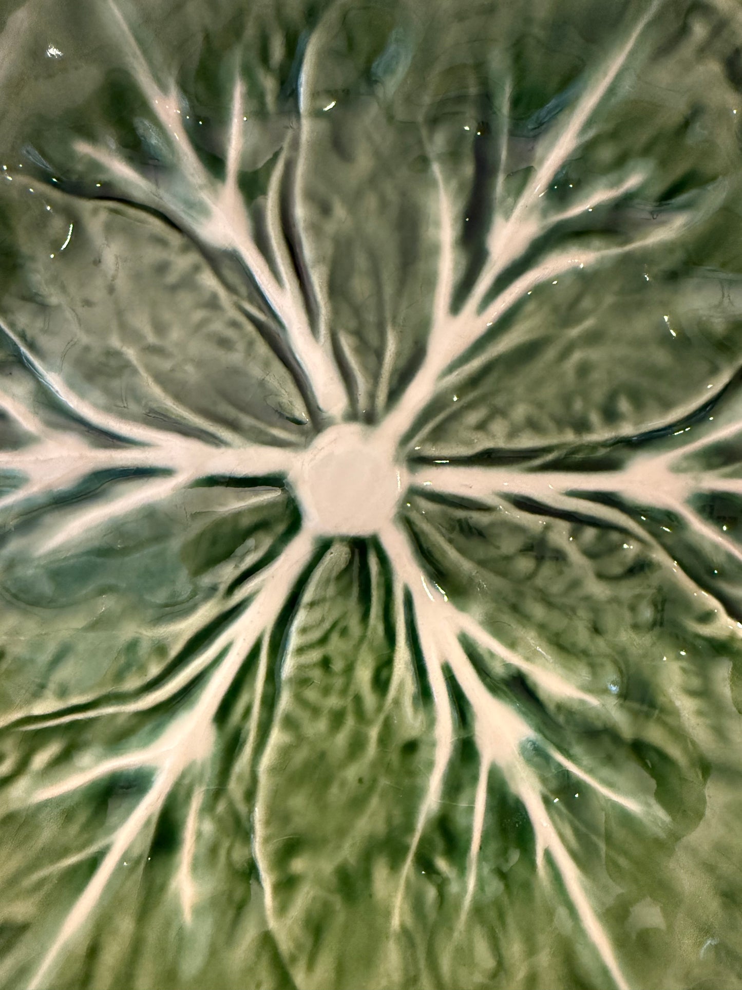 Pair of Vintage Bordallo Pinheiro Dinner Plates