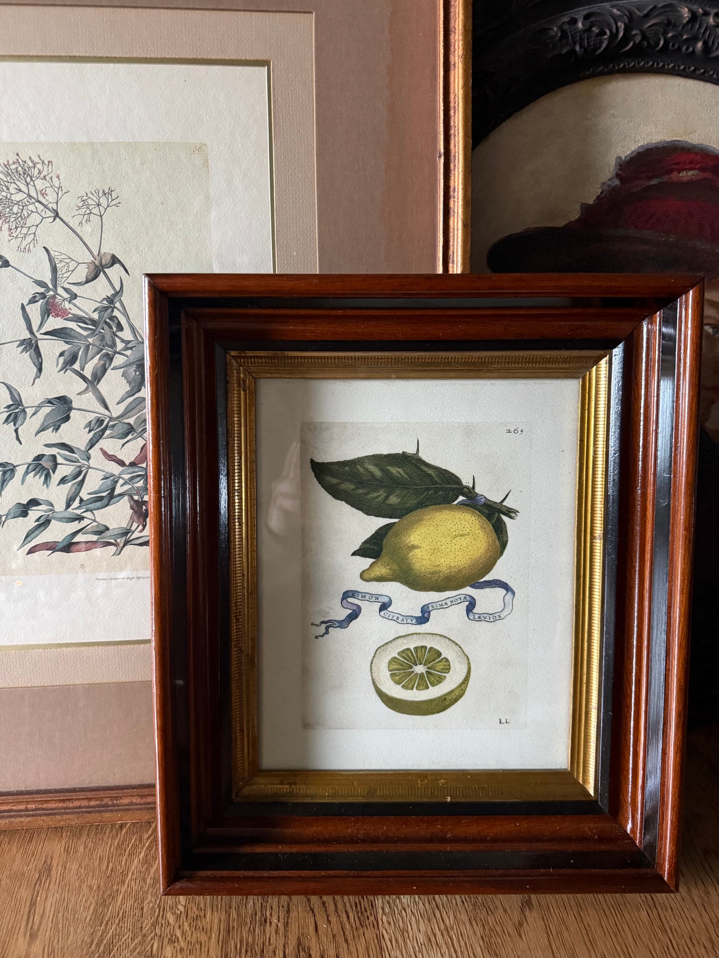 Hand-Colored Restrike Antique Ferrari Lemon
