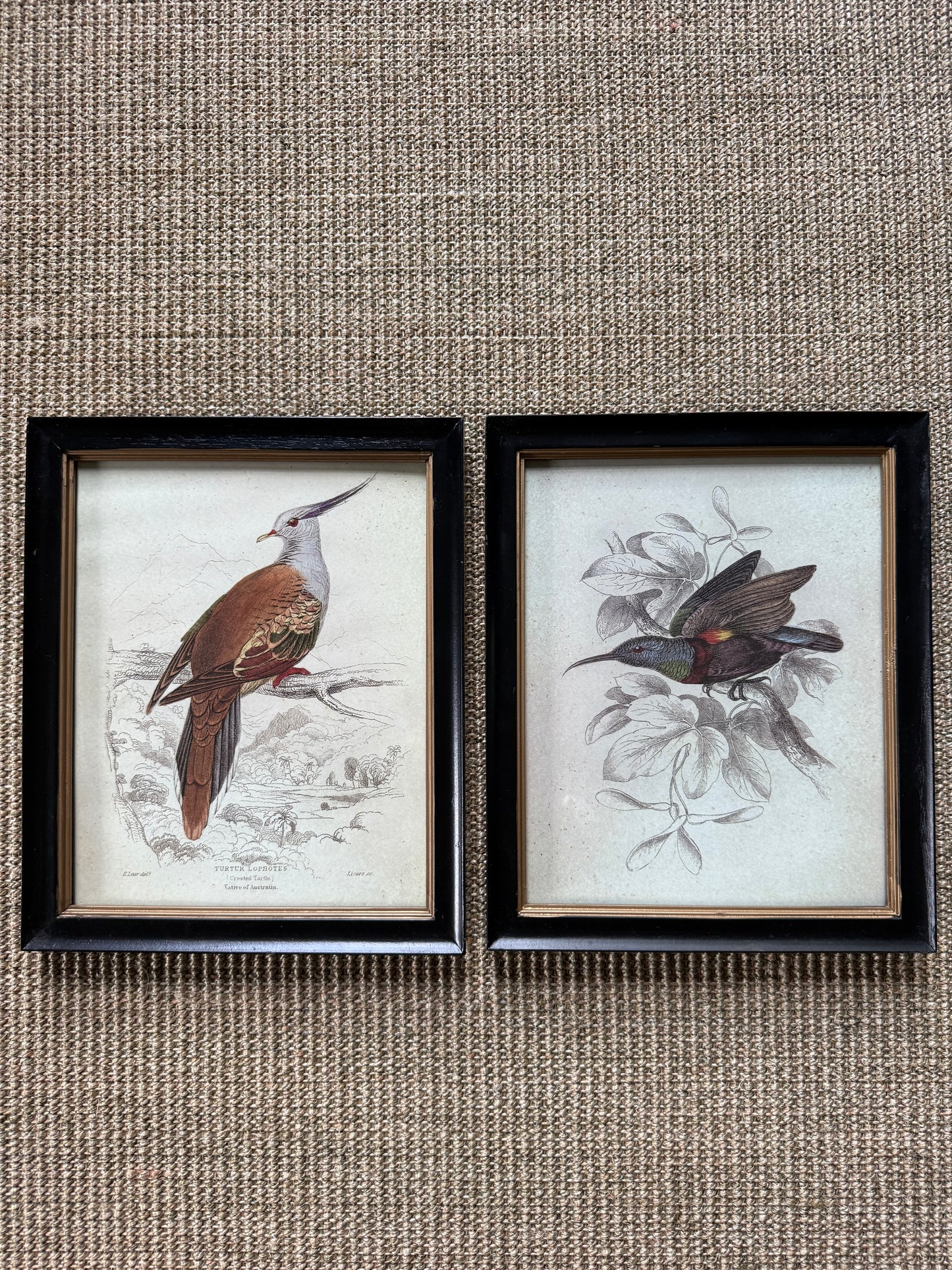 Pair of Offset Bird Prints