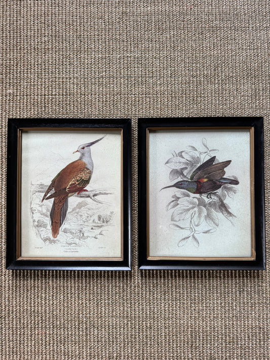 Pair of Offset Bird Prints