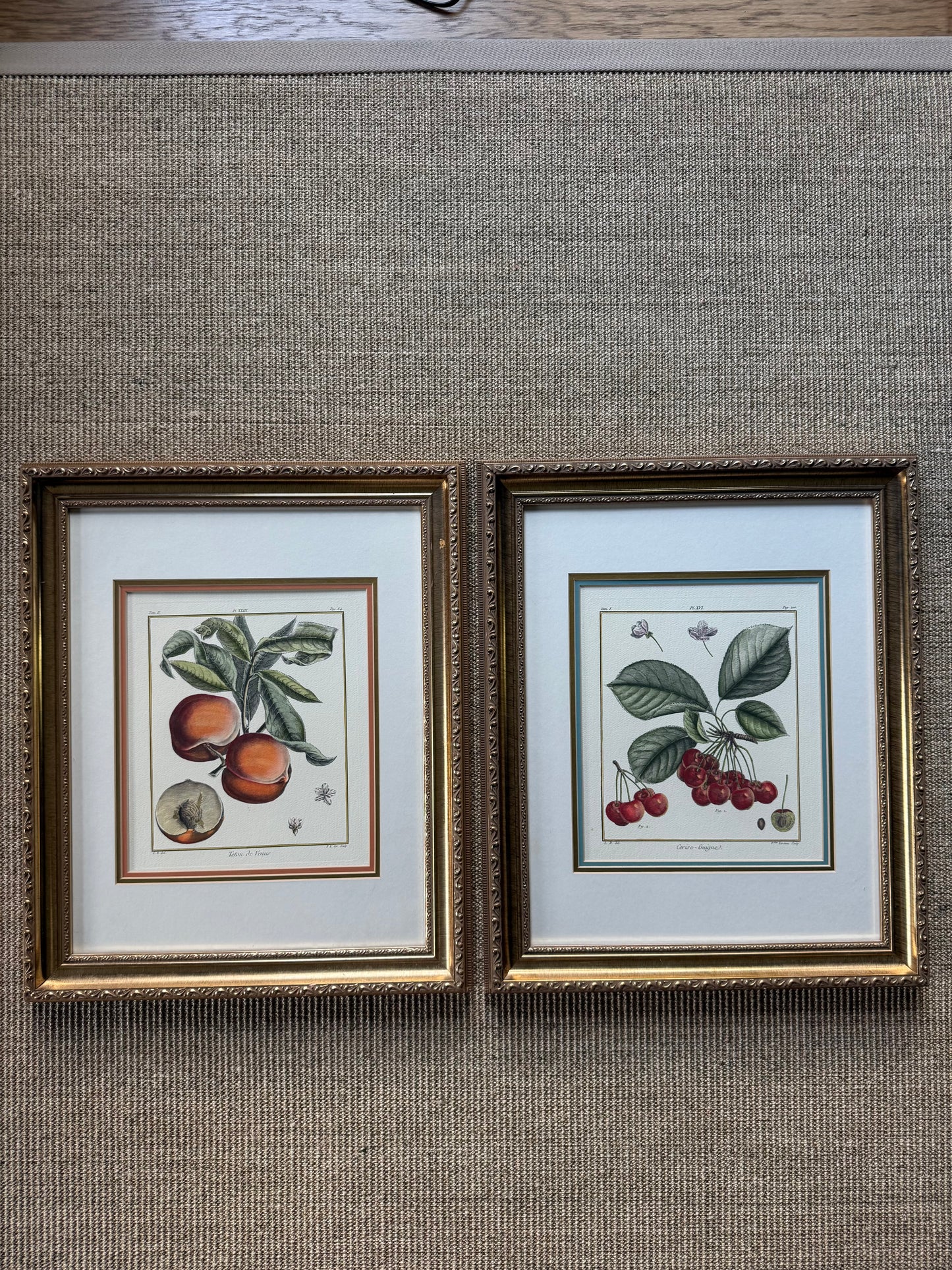 Hand Colored French Botanical Engraving