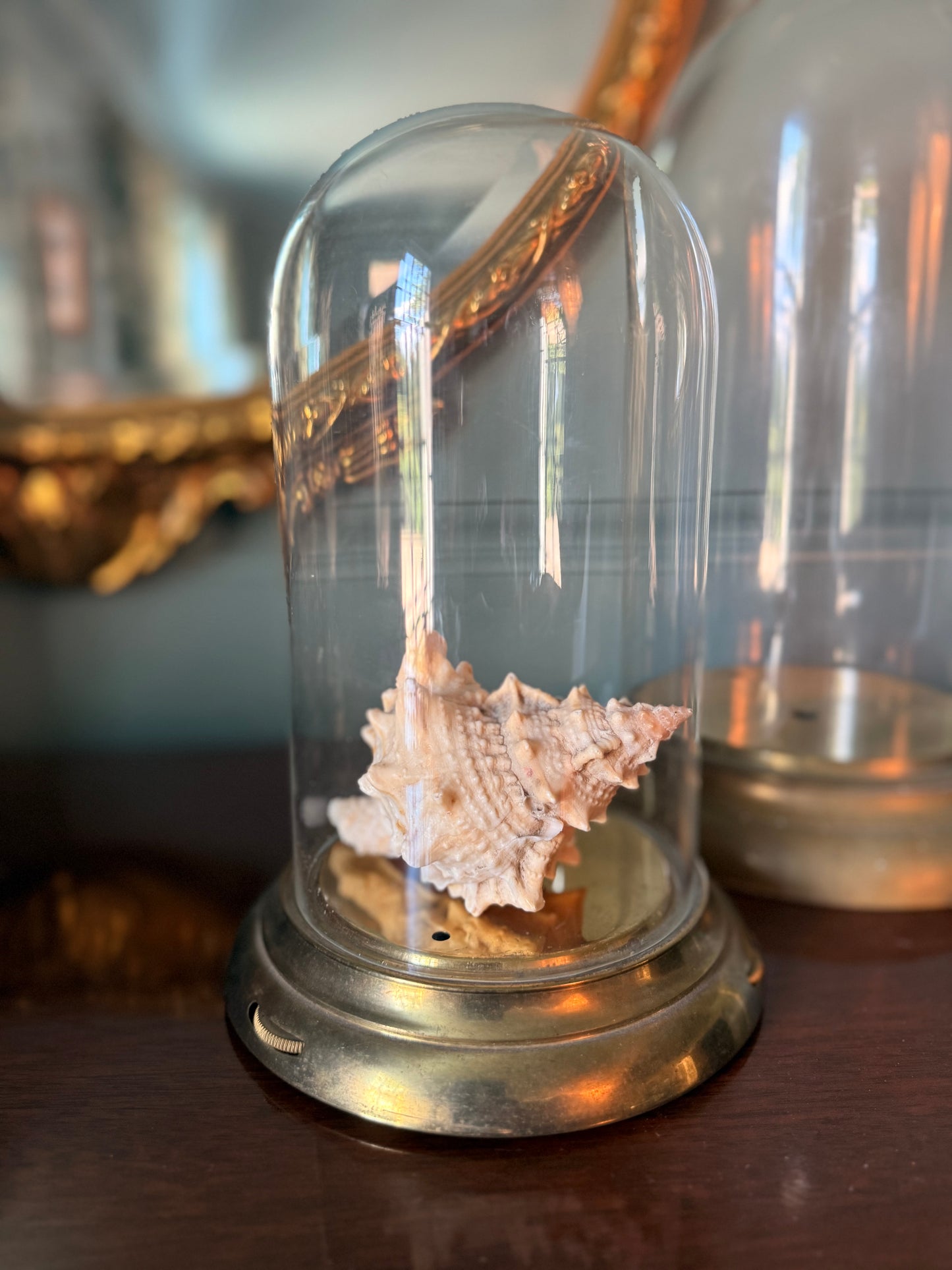 Vintage Brass and Glass Cloches
