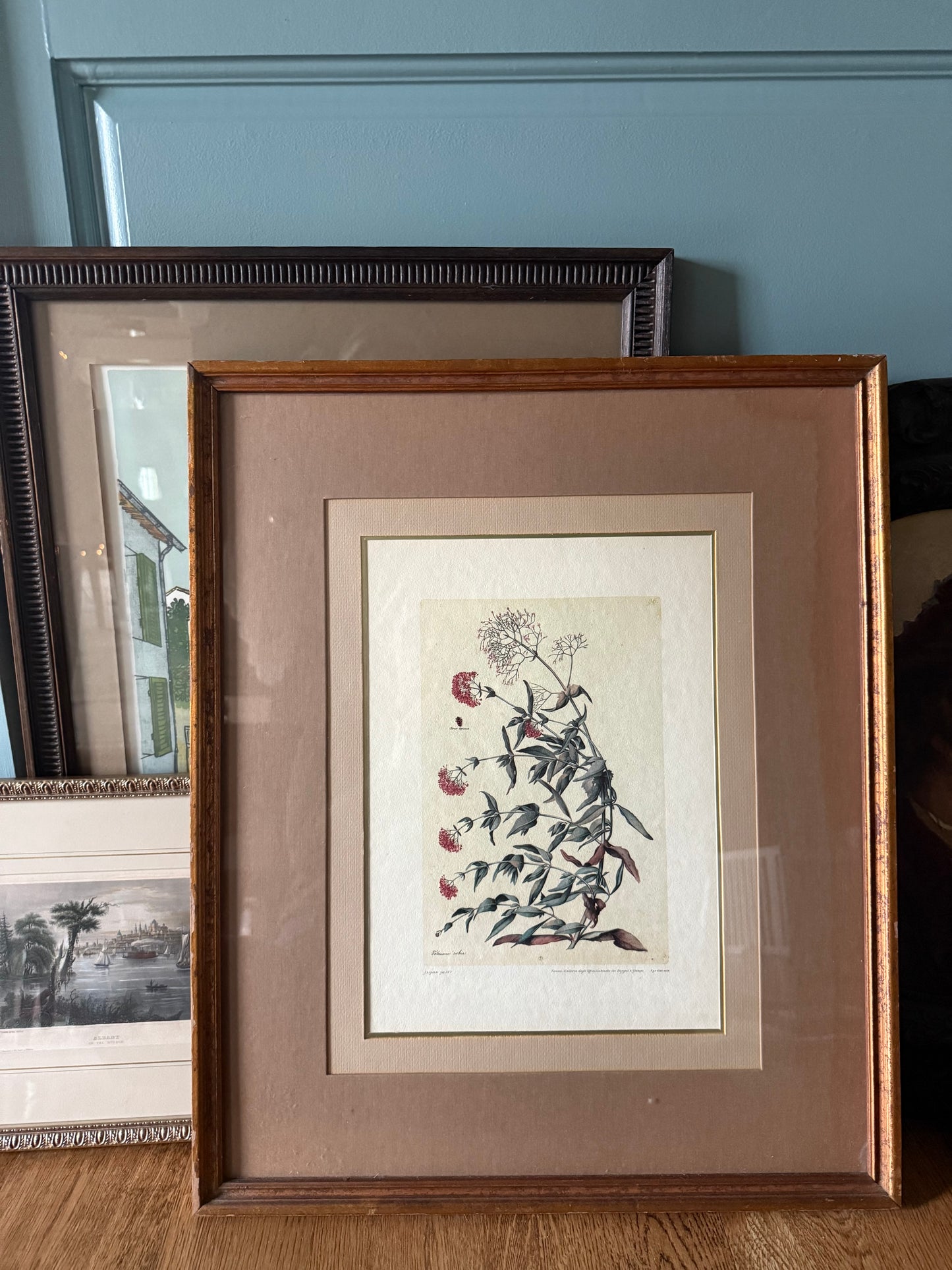 Hand-Colored Italian Etching