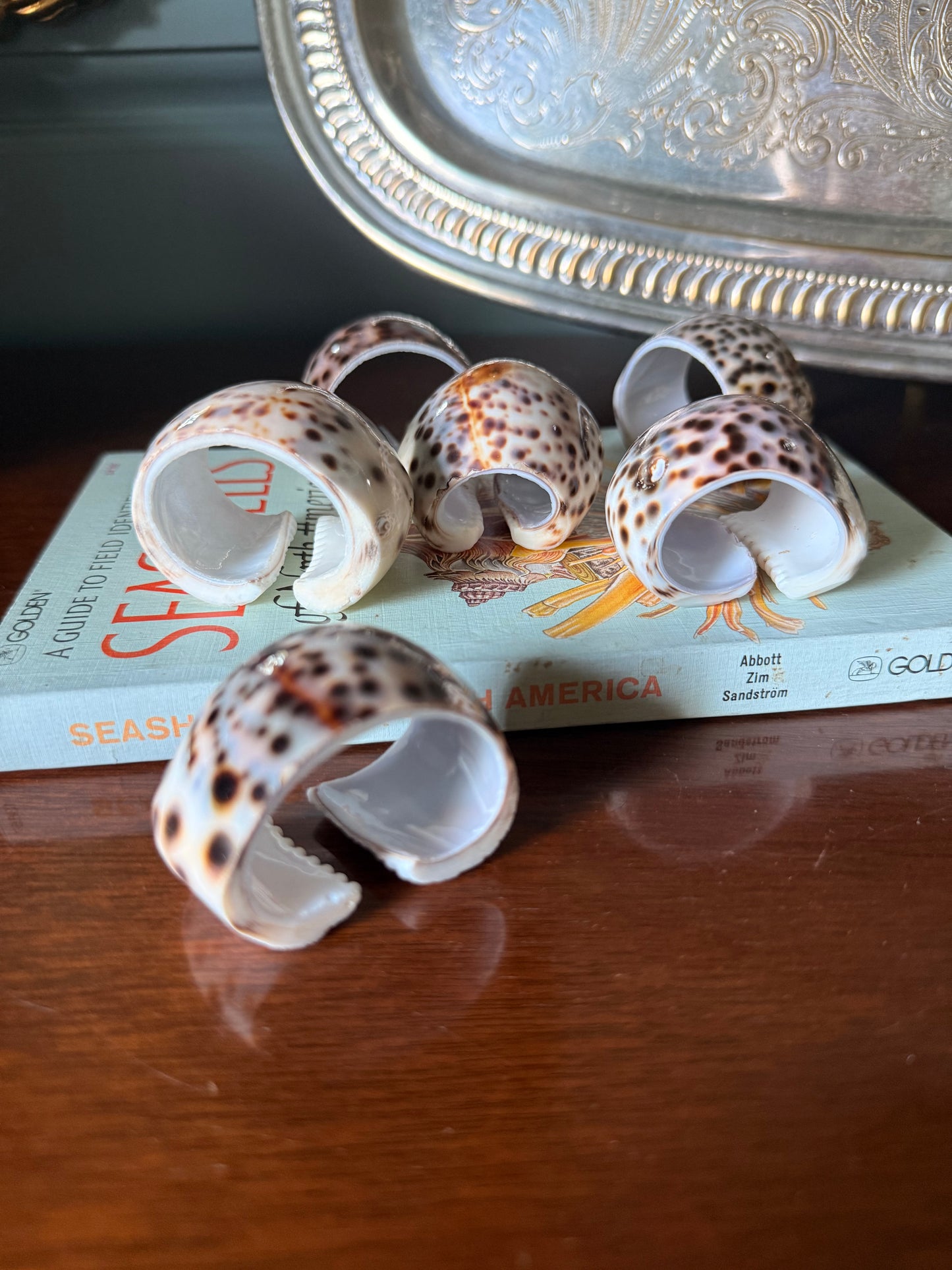 Set of Six Natural Cowrie Shell Napkin Rings