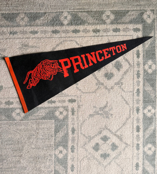 Vintage Princeton University Felt Pennant