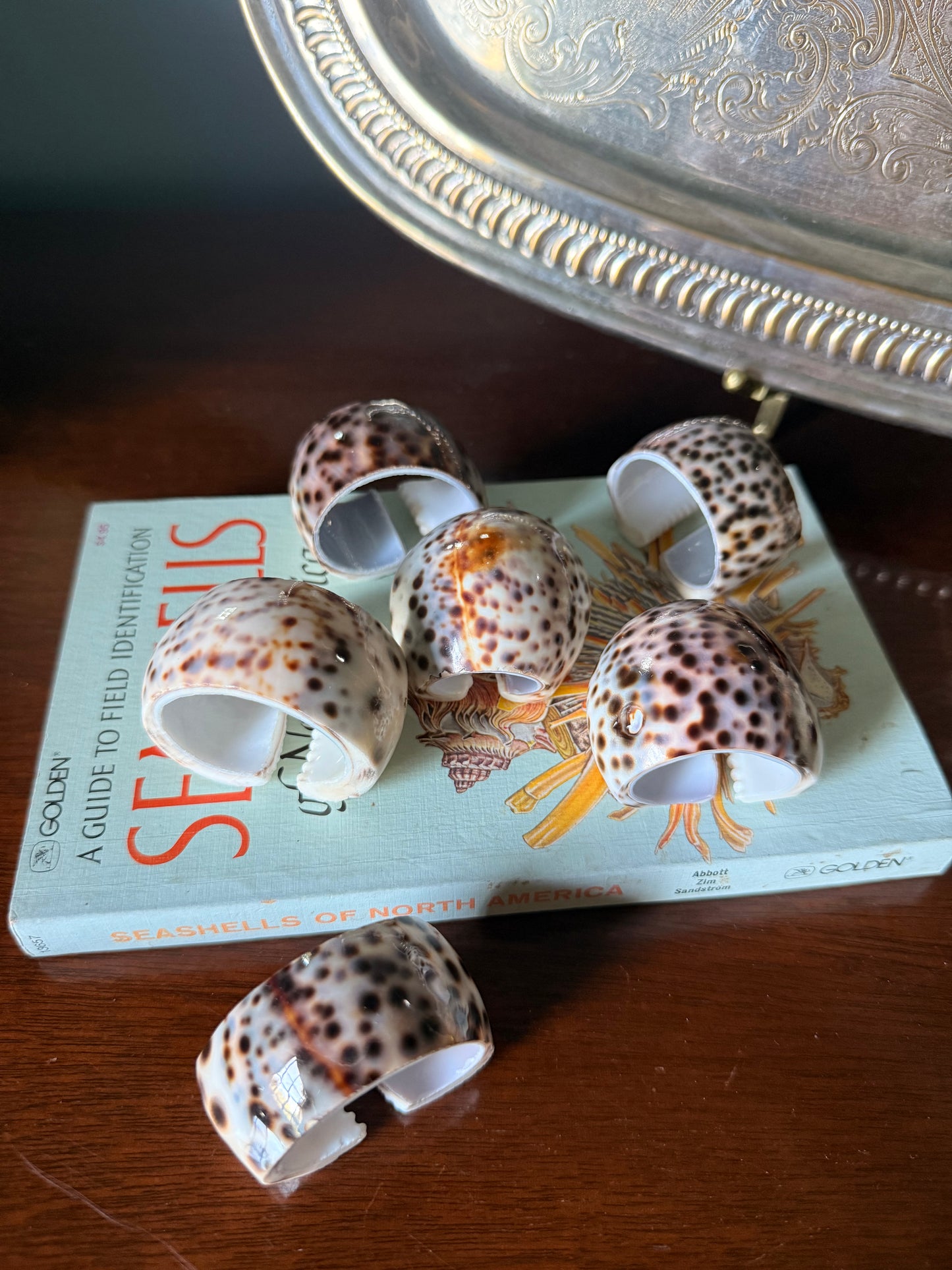 Set of Six Natural Cowrie Shell Napkin Rings