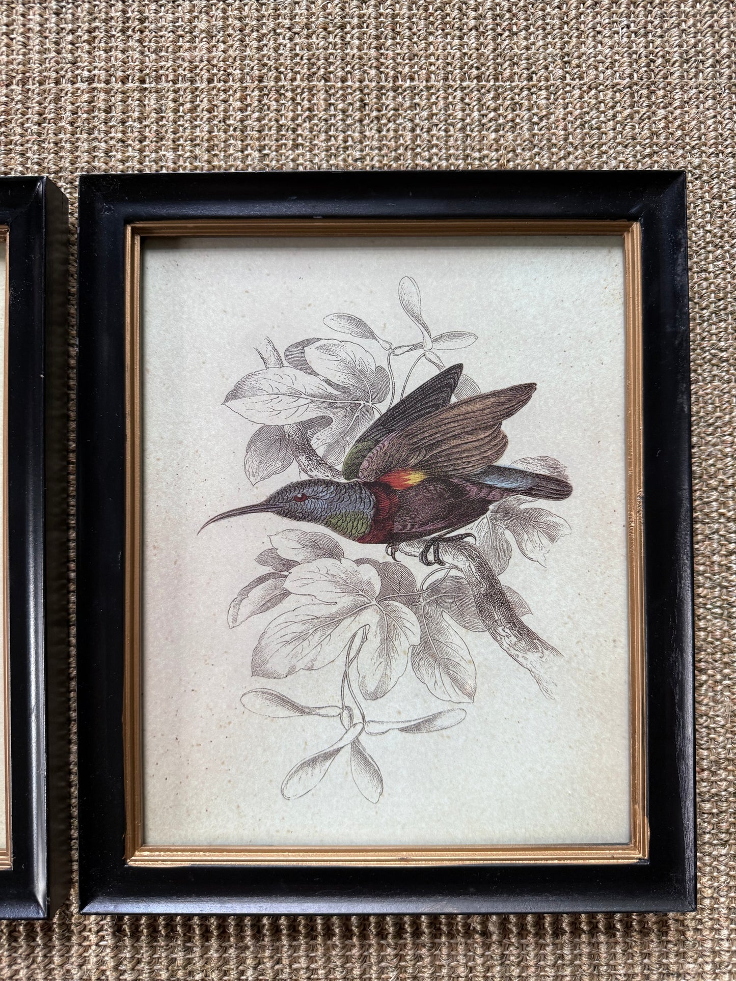 Pair of Offset Bird Prints