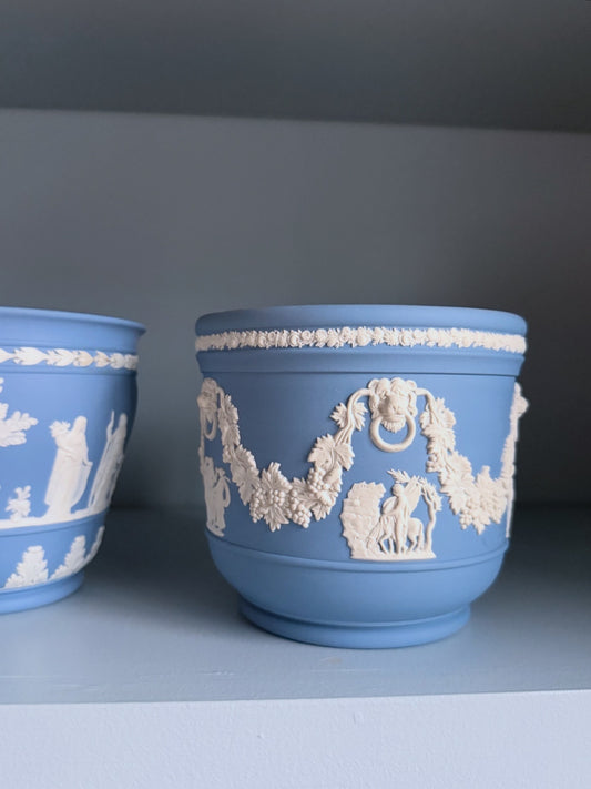 Wedgwood Jasperware Cream on Lavender Cachepot with Lion Heads
