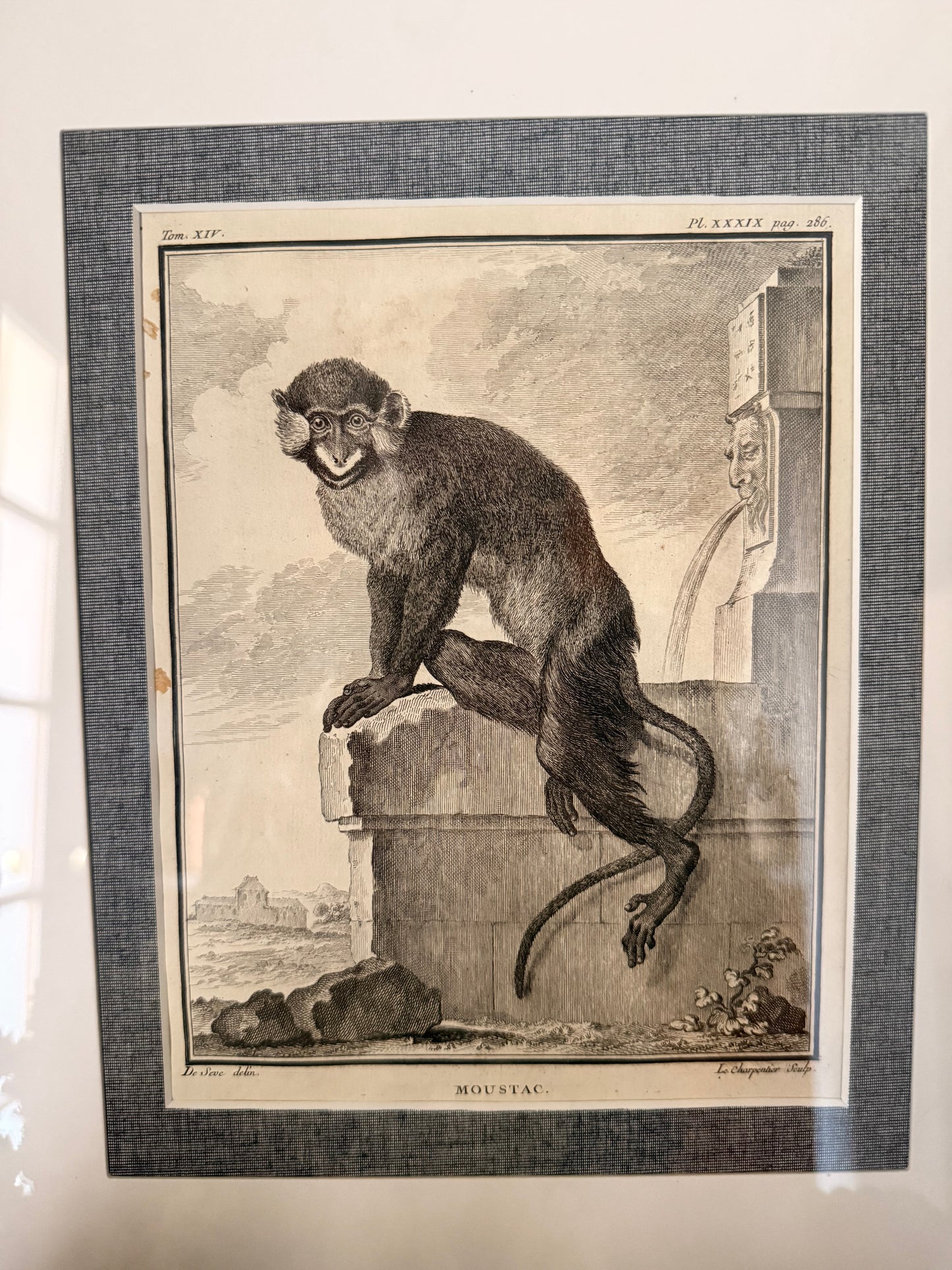 Antique Copper Plate Engraving, “Moustac”