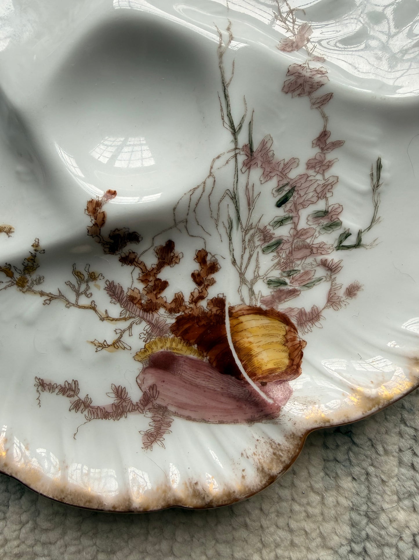 Antique Limoges Porcelain Oyster Plates