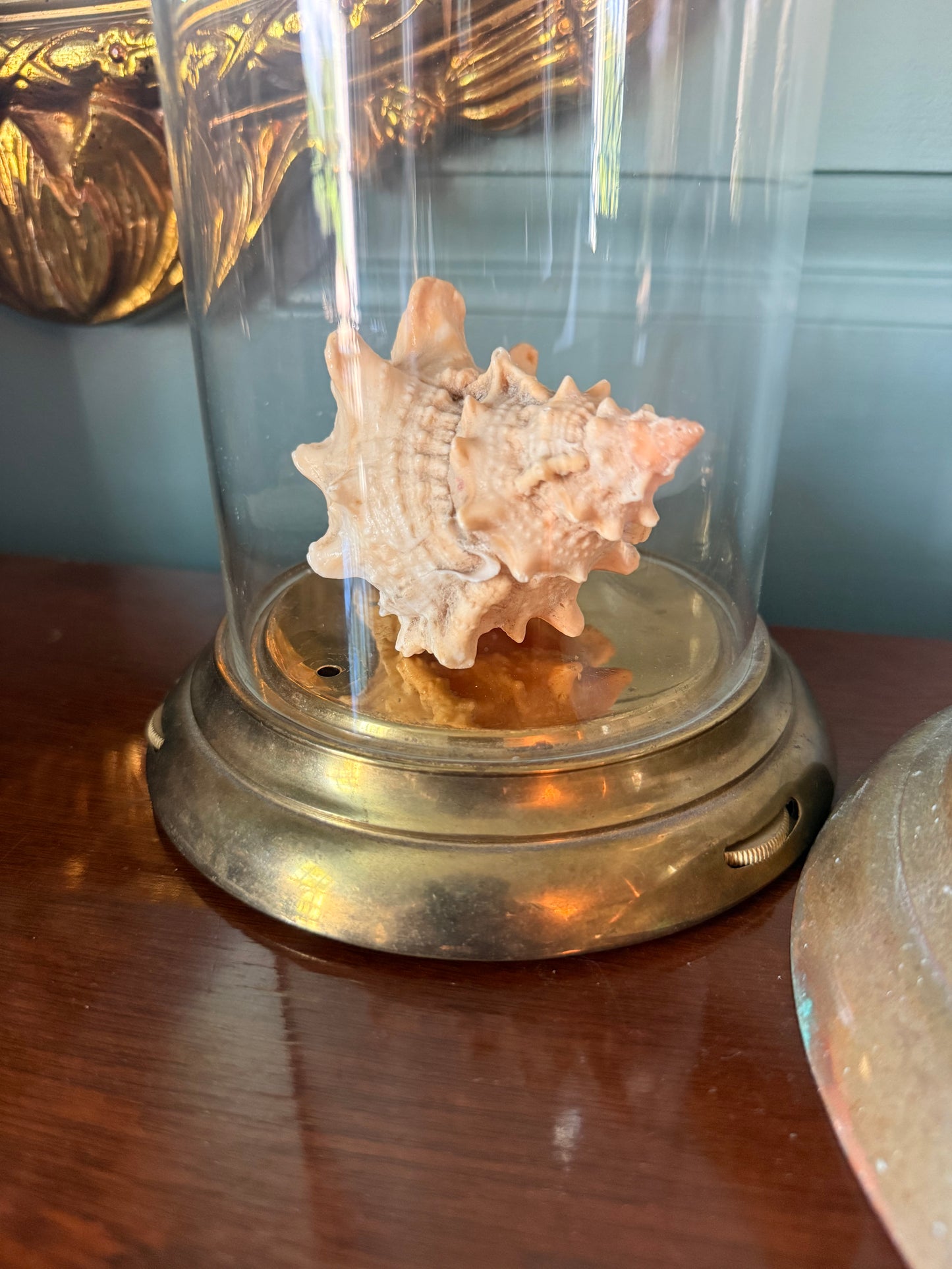 Vintage Brass and Glass Cloches