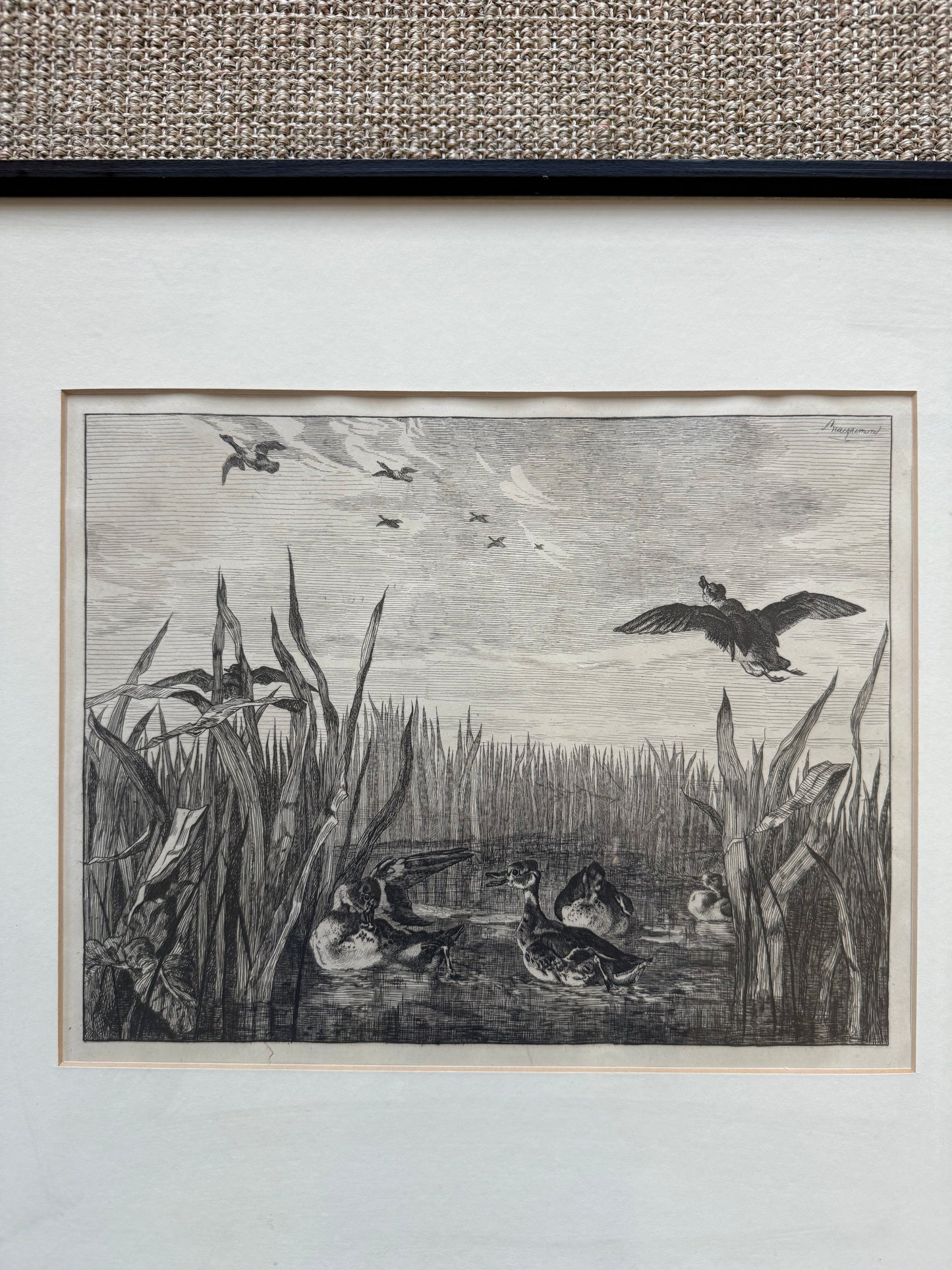 Felix Bracquemond (French 1833–1914), Ducks In Flight Etching