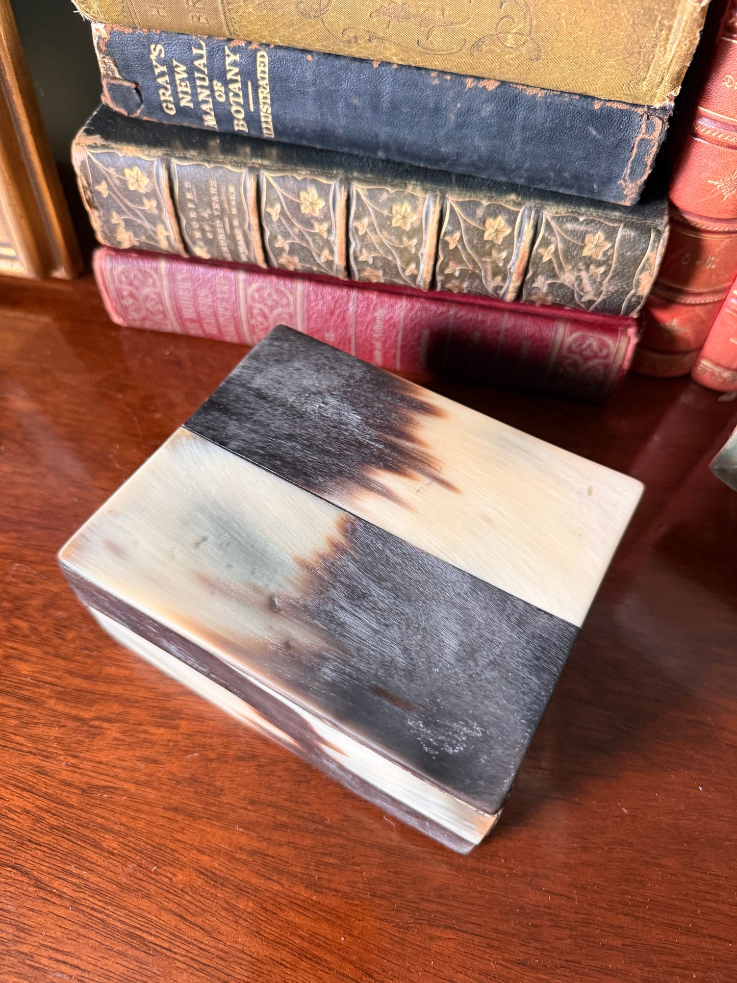 Natural Horn and Wood Box