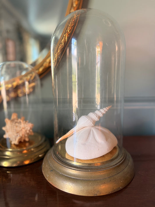 Vintage Brass and Glass Cloches
