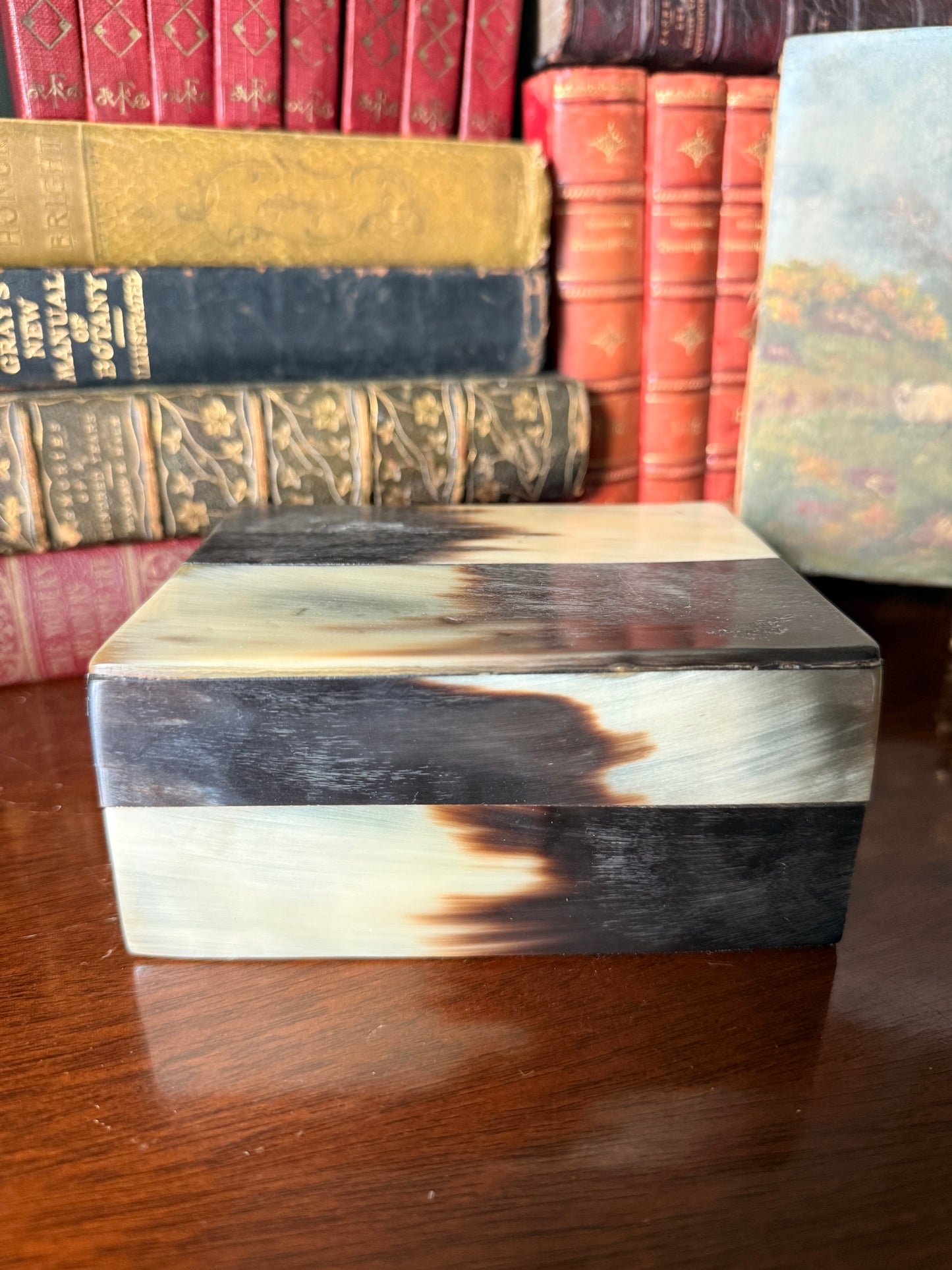 Natural Horn and Wood Box