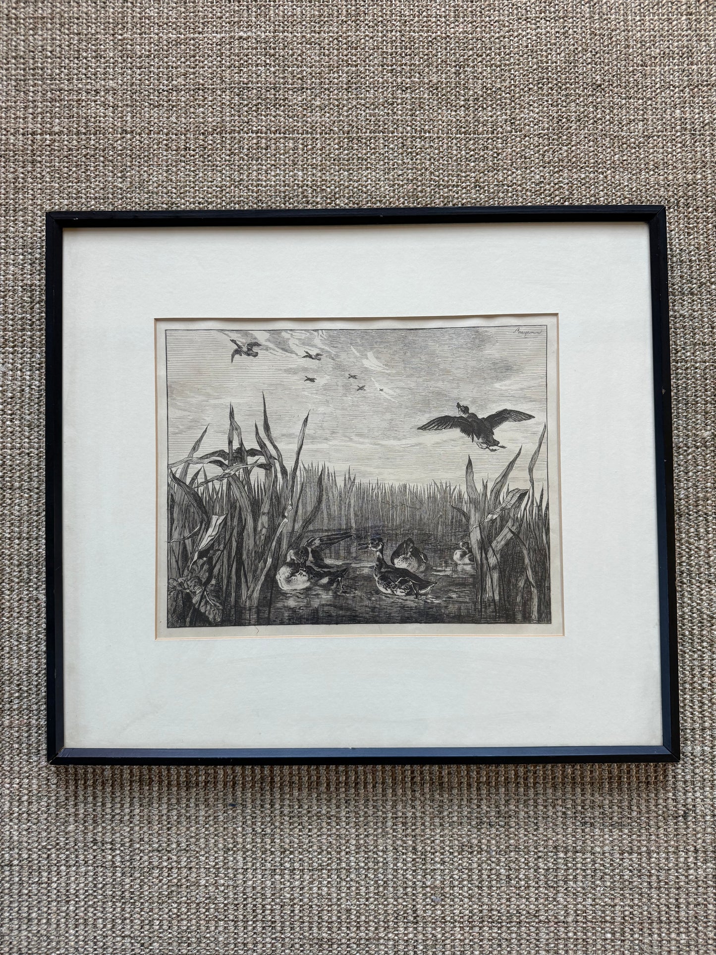 Felix Bracquemond (French 1833–1914), Ducks In Flight Etching