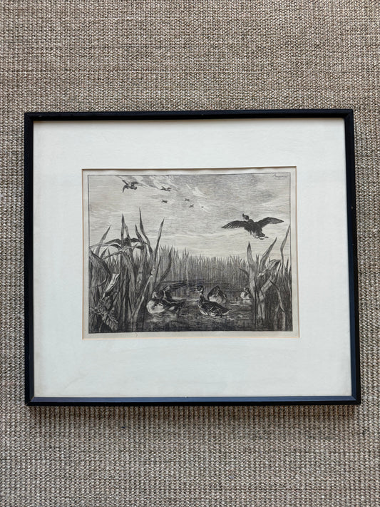 Felix Bracquemond (French 1833–1914), Ducks In Flight Etching