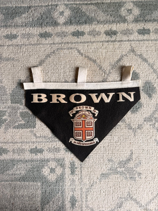Vintage Brown University Felt Pennant